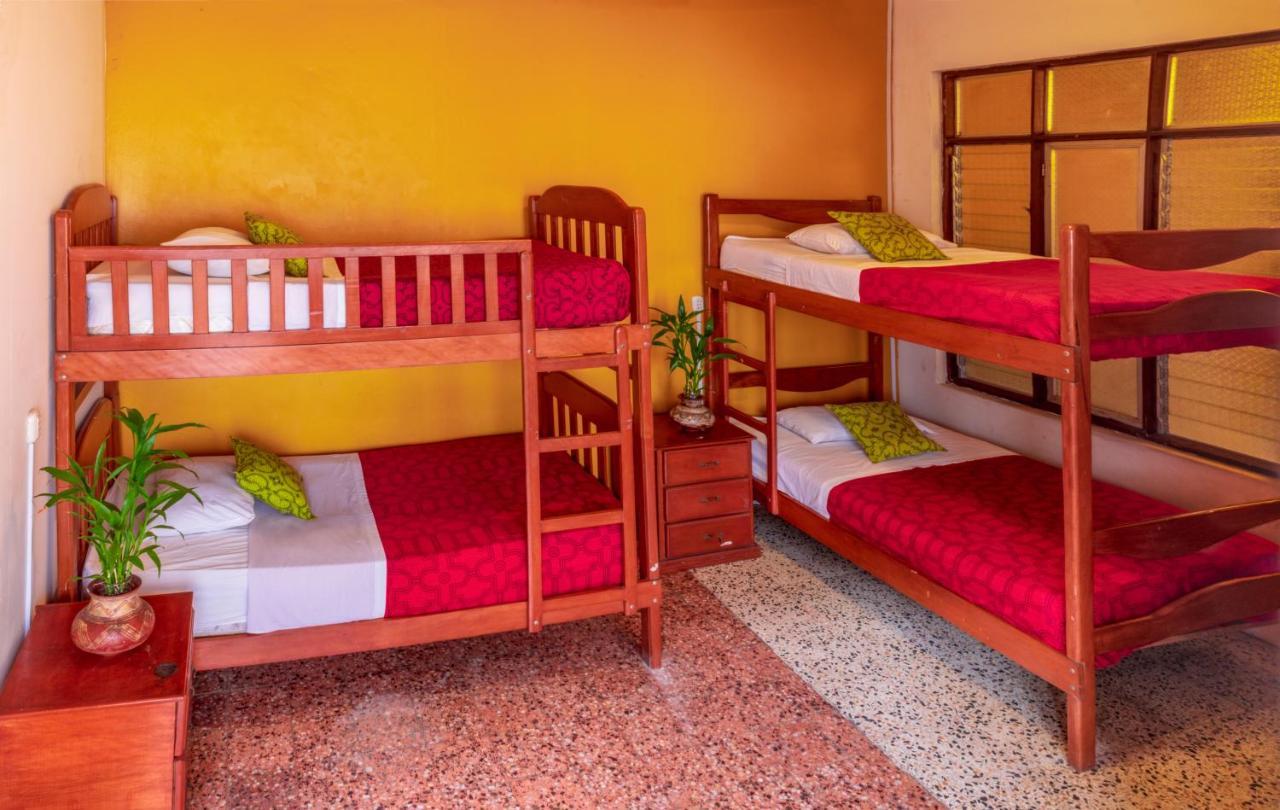 Flying Dog Hostel Iquitos Exterior photo
