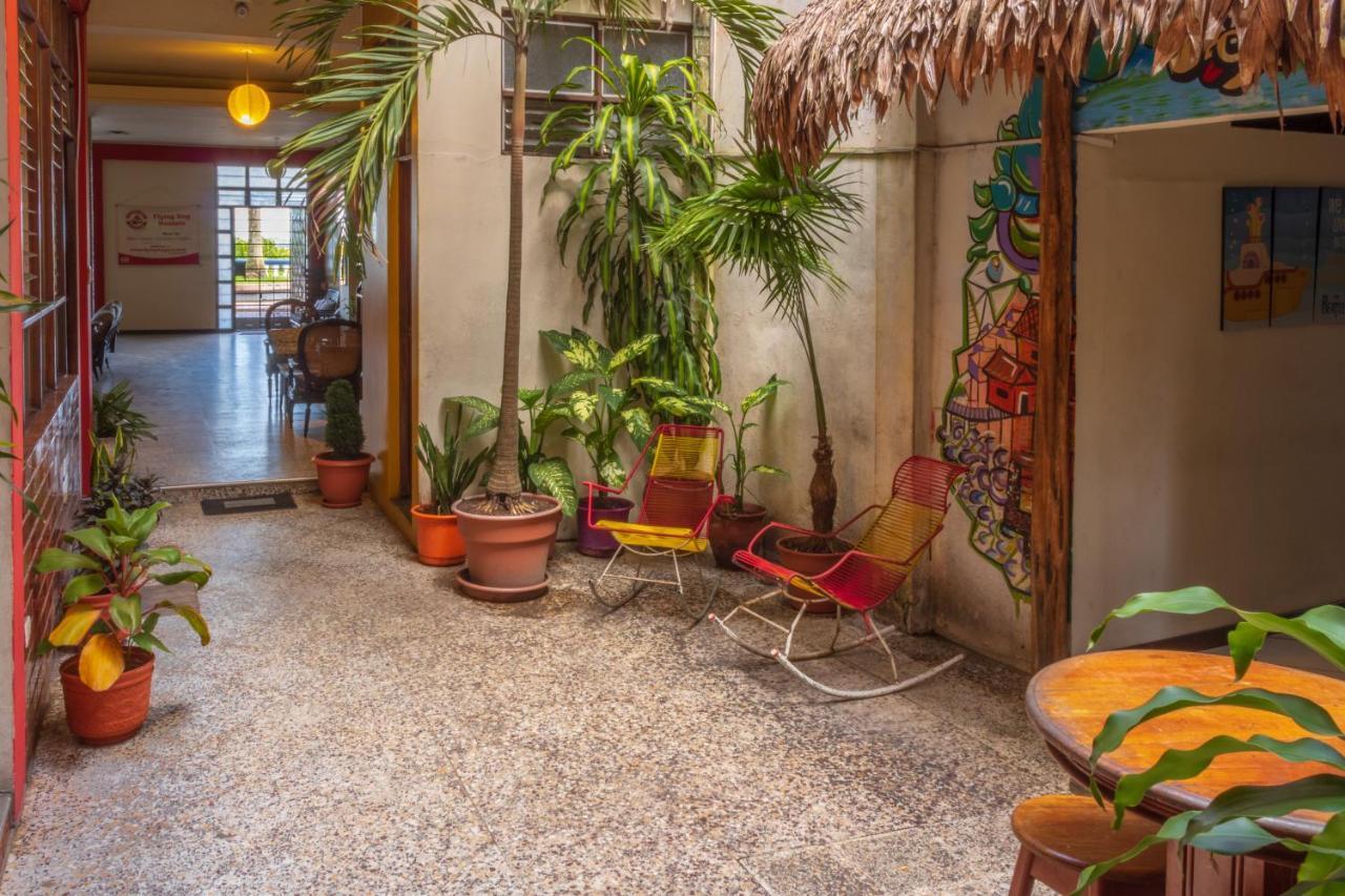 Flying Dog Hostel Iquitos Exterior photo
